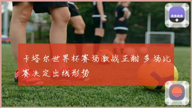 卡塔尔世界杯赛场激战正酣 多场比赛决定出线形势