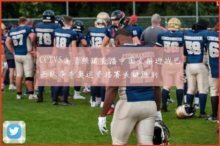 CCTV5高清频道直播中国女排迎战巴西队争夺奥运资格赛关键胜利