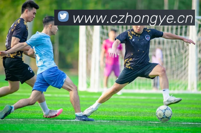 华体会体育(中国)hth·官方网站 - 登录入口平台生态图